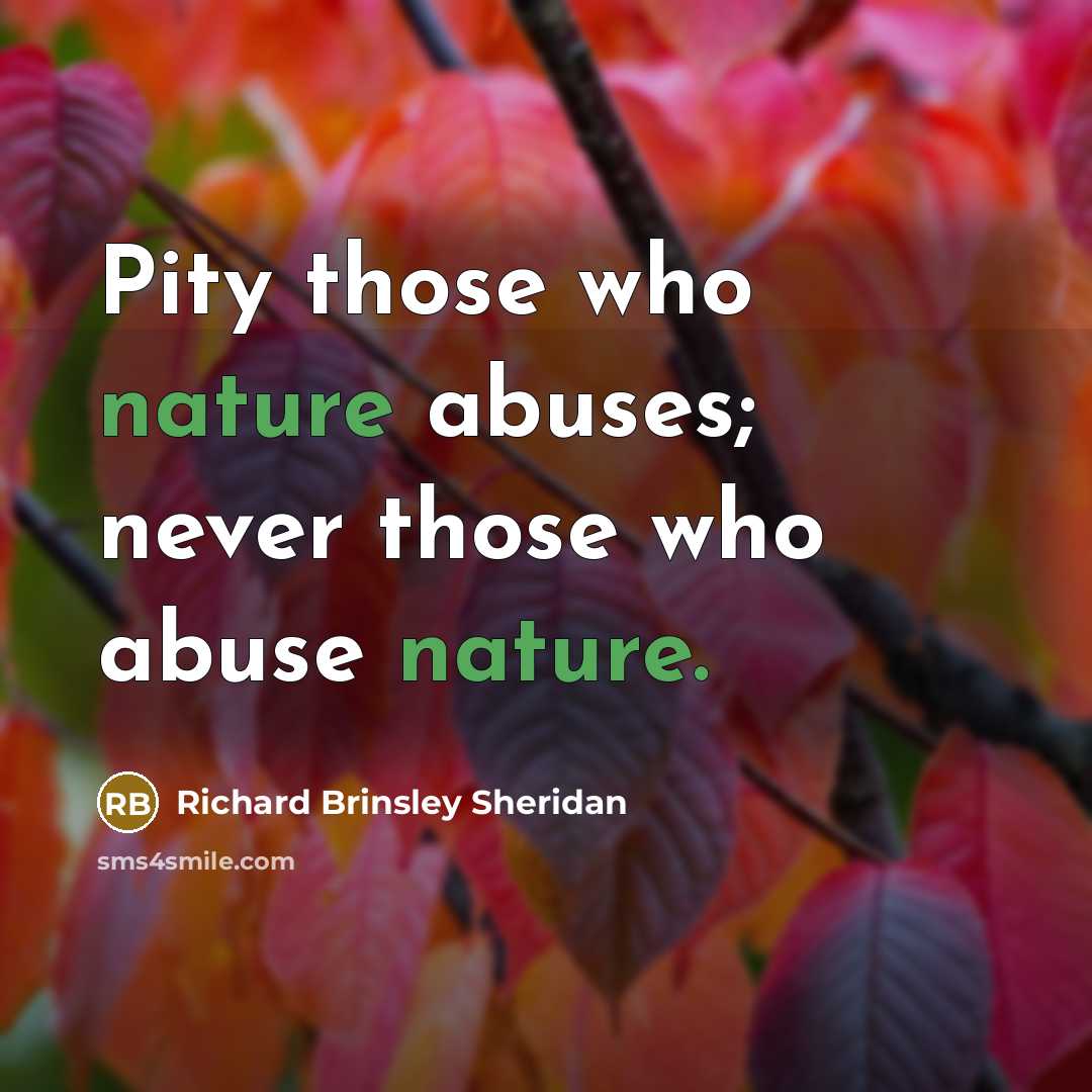“Pity those who nature abuses; never those who abuse nature.…” quote by Richard Brinsley Sheridan