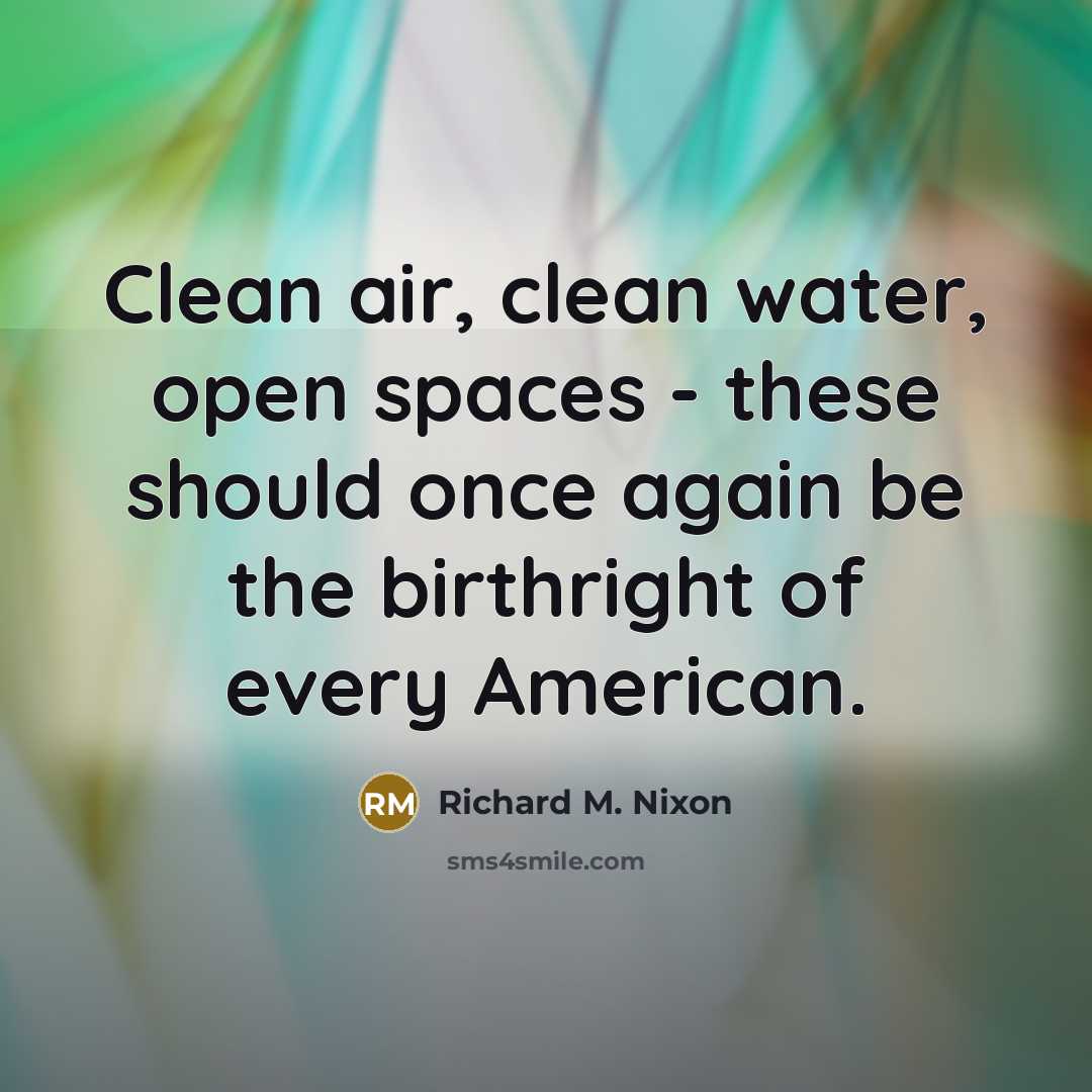 “Clean air, clean water, open spaces - these should once…” quote by Richard M. Nixon