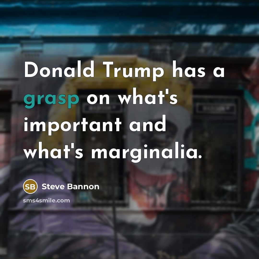 “Donald Trump has a grasp on what's important and what's…” quote by Steve Bannon