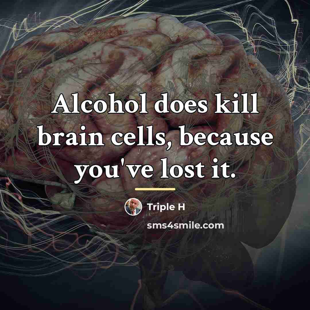 “Alcohol does kill brain cells, because you've lost it.…” quote by Triple H