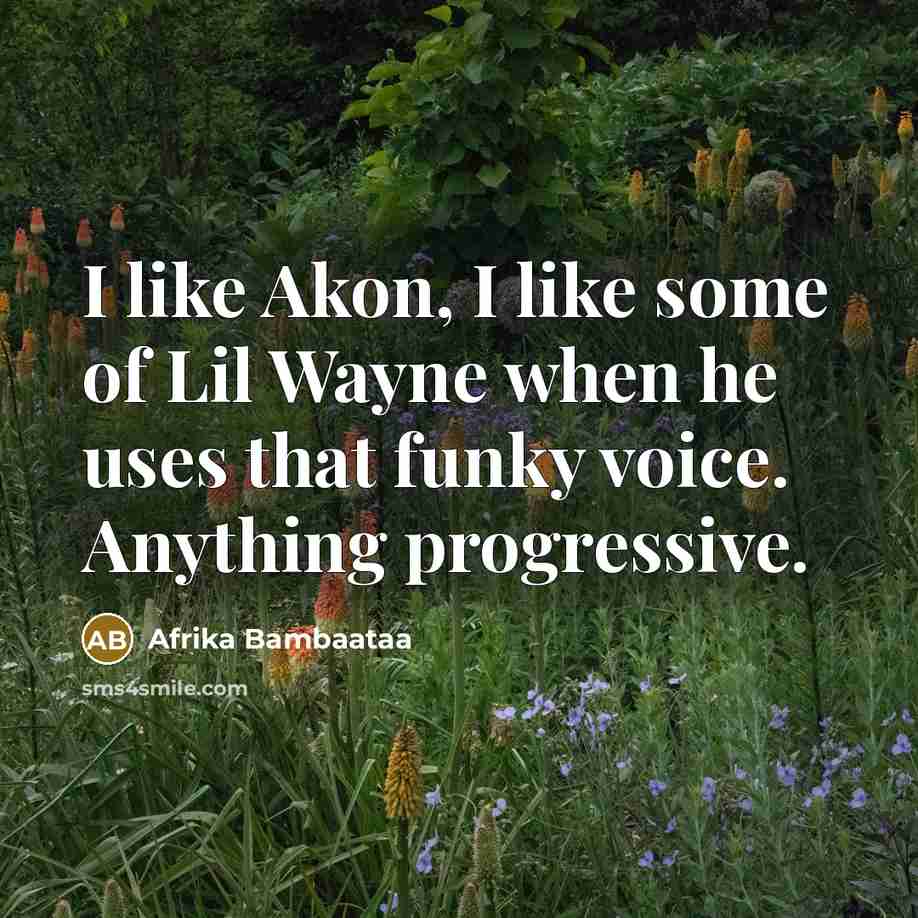 “I like Akon, I like some of Lil Wayne when…” quote by Afrika Bambaataa