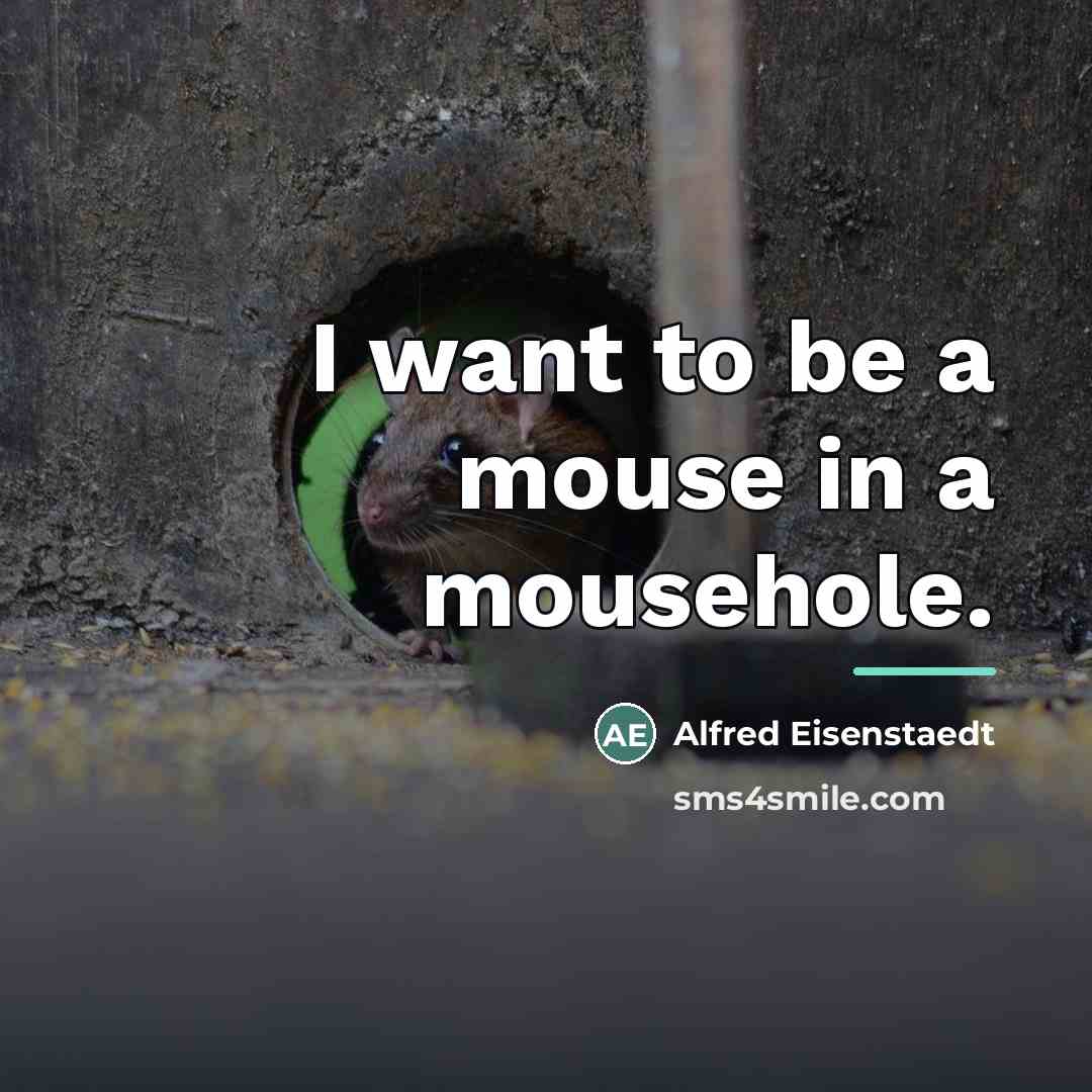 “I want to be a mouse in a mousehole.…” quote by Alfred Eisenstaedt