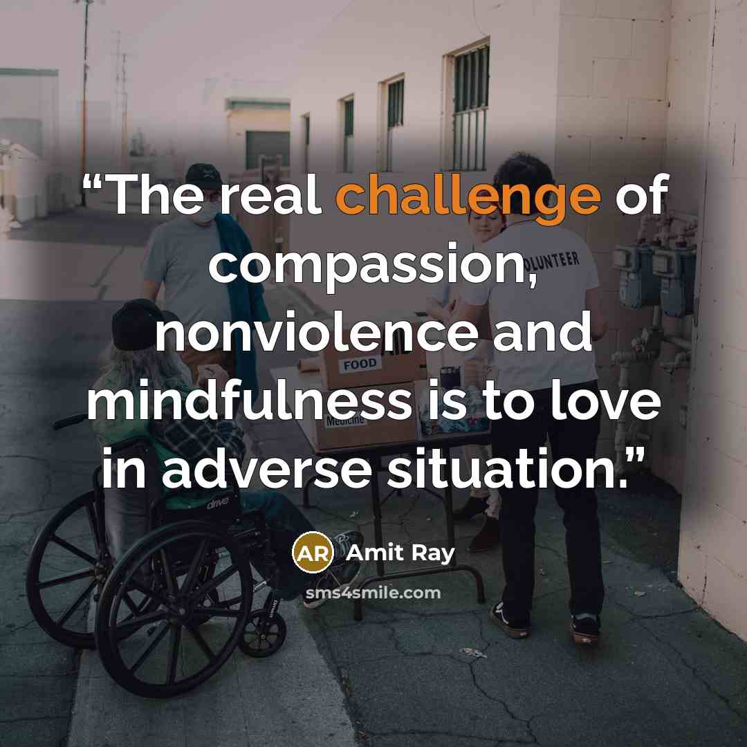 “The real challenge of compassion, nonviolence and mindfulness is to love in adverse situation.” quote by Amit Ray