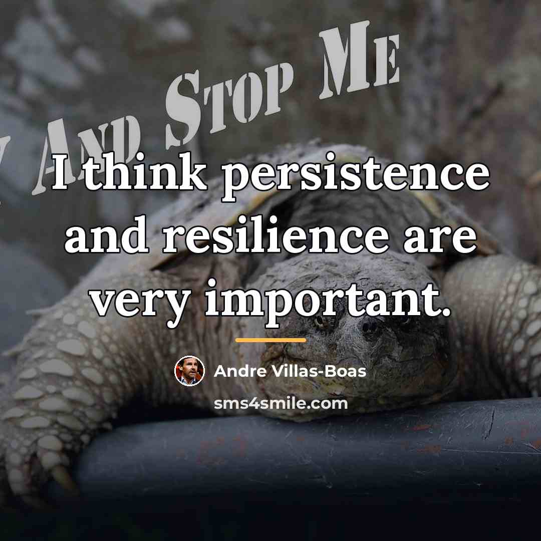 “I think persistence and resilience are very important.…” quote by Andre Villas-Boas