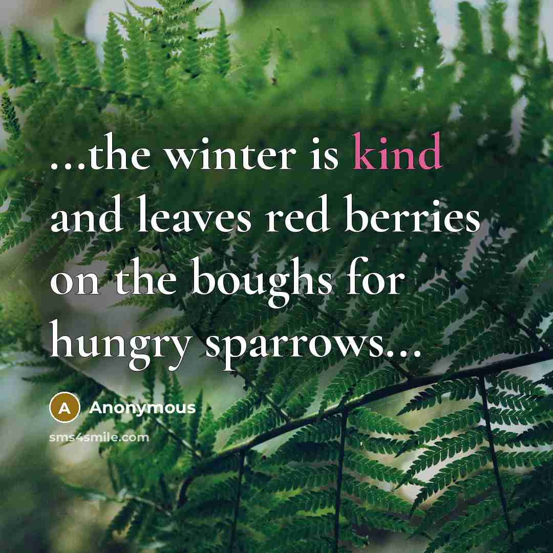“...the winter is kind and leaves red berries on the…” quote by Anonymous