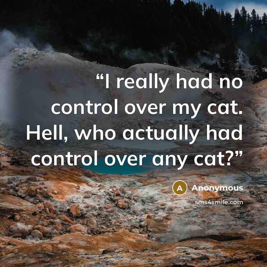 “I really had no control over my cat. Hell, who actually had control over any cat?” quote by Anonymous