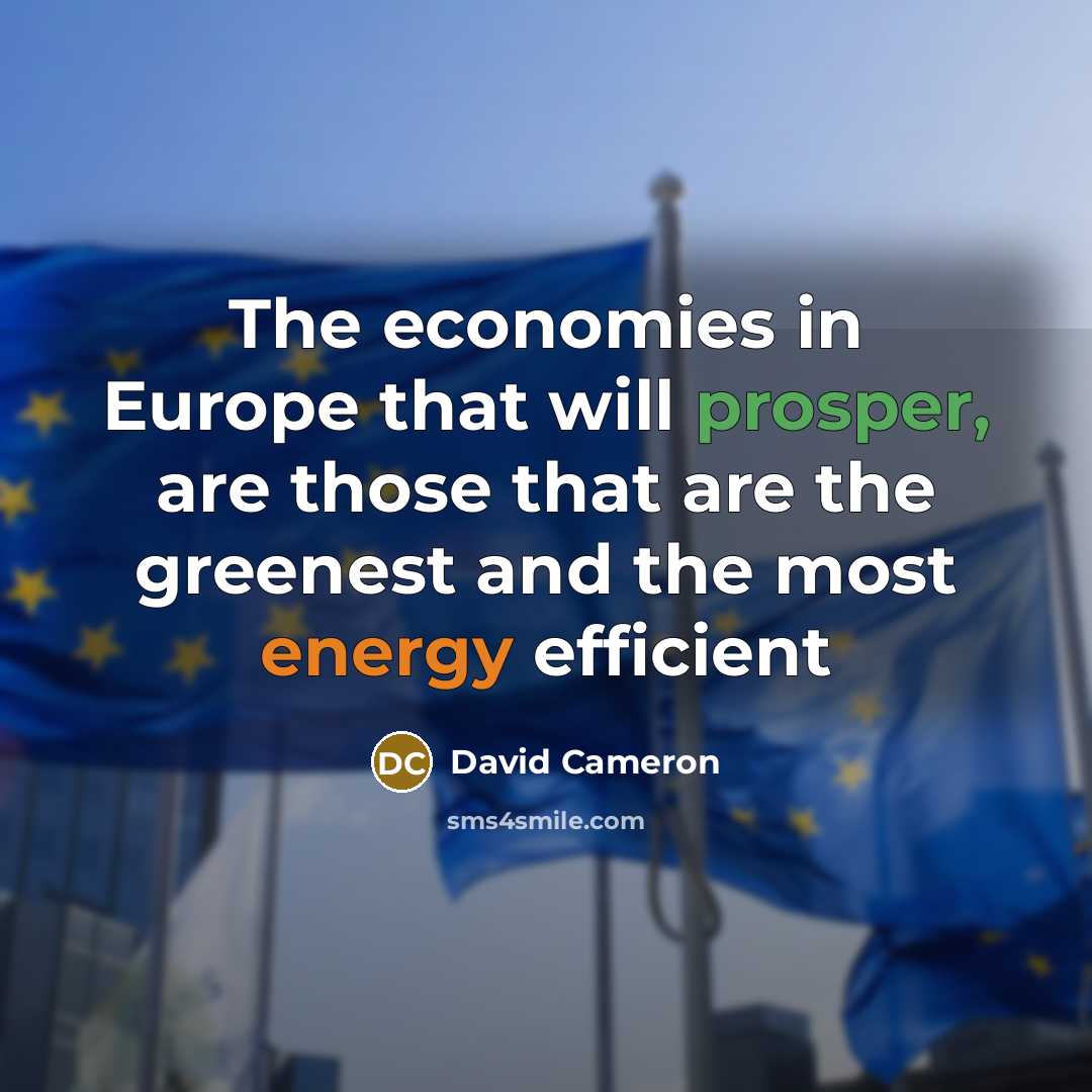 “The economies in Europe that will prosper, are those that are the greenest and the most energy efficient” quote by David Cameron