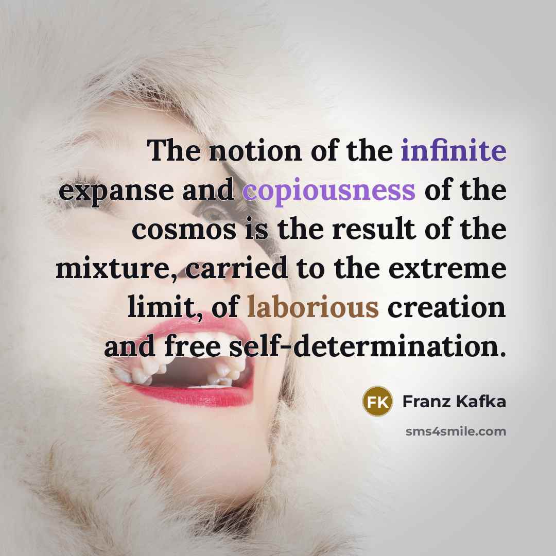 “The notion of the infinite expanse and copiousness of the…” quote by Franz Kafka