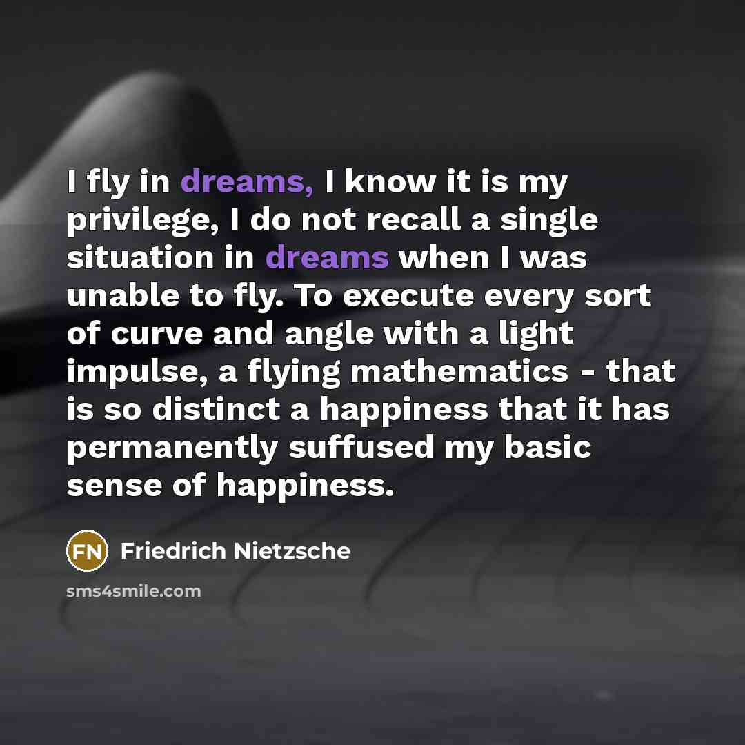 “I fly in dreams, I know it is my privilege,…” quote by Friedrich Nietzsche