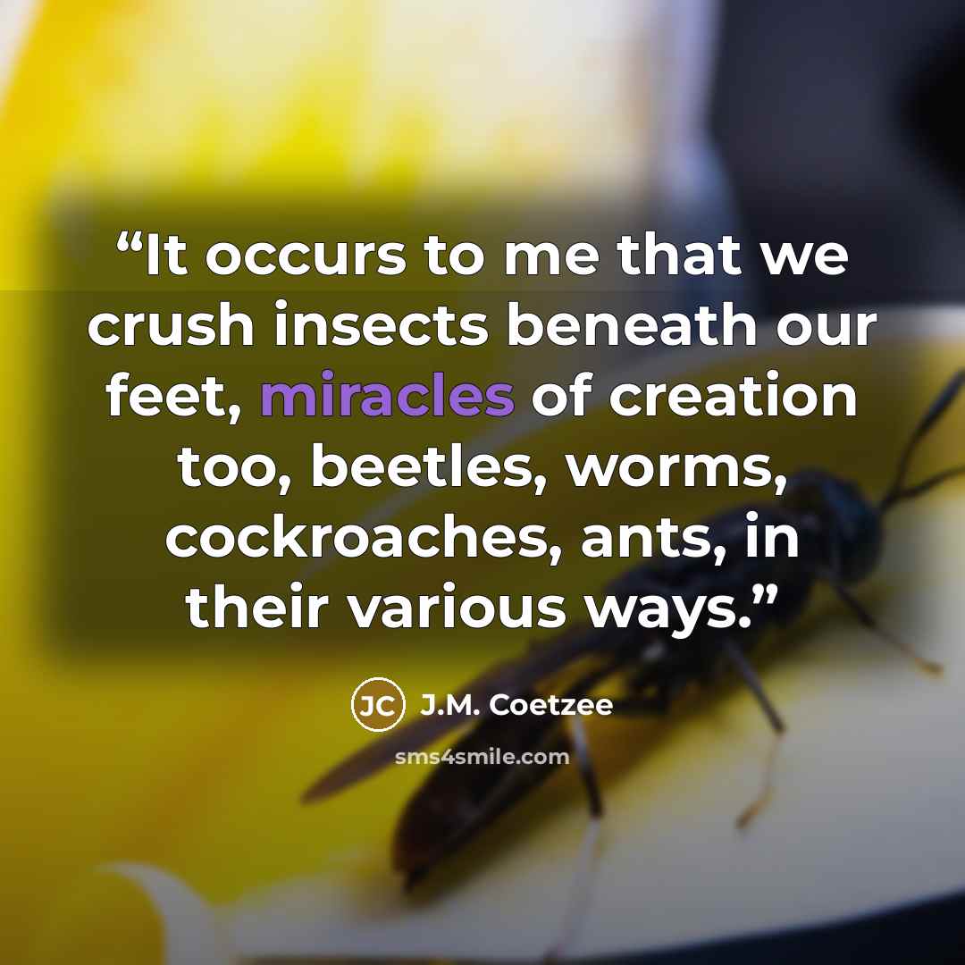 “It occurs to me that we crush insects beneath our feet, miracles of creation too, beetles, worms, cockroaches, ants, in their various ways.” quote by J.M. Coetzee