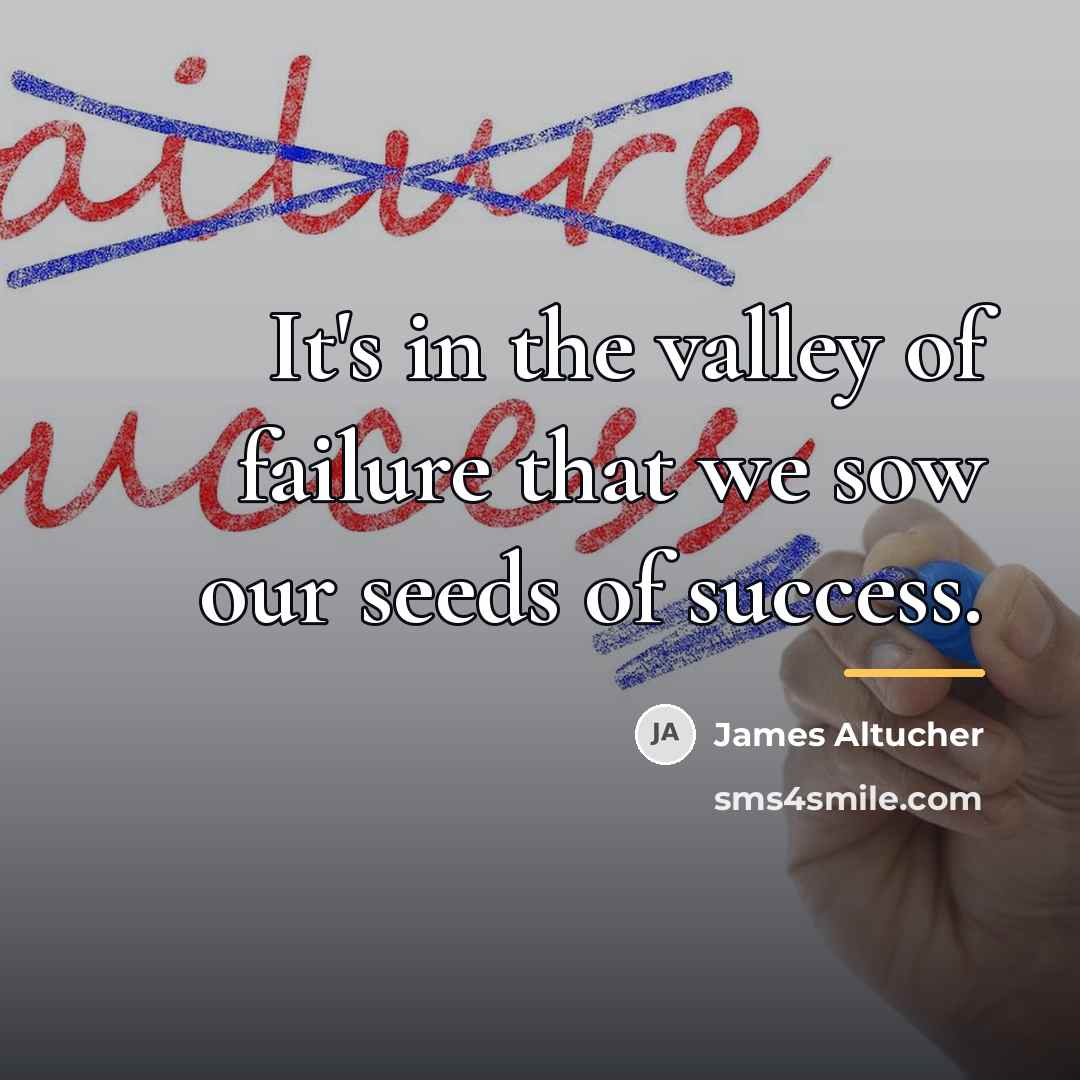 “It's in the valley of failure that we sow our…” quote by James Altucher
