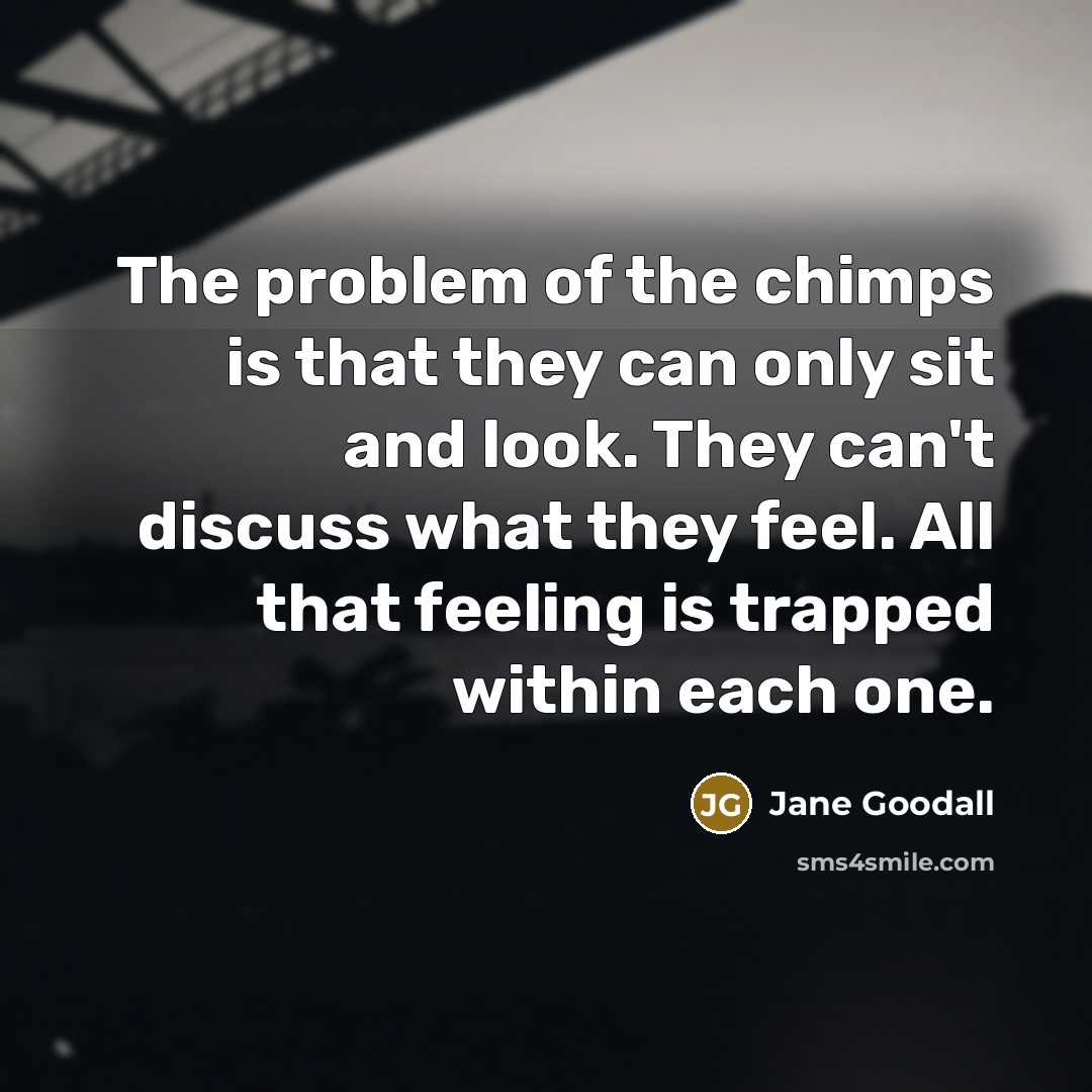 “The problem of the chimps is that they can only…” quote by Jane Goodall