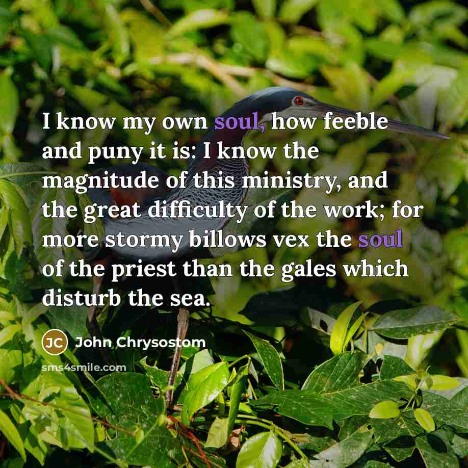 “I know my own soul, how feeble and puny it…” quote by John Chrysostom