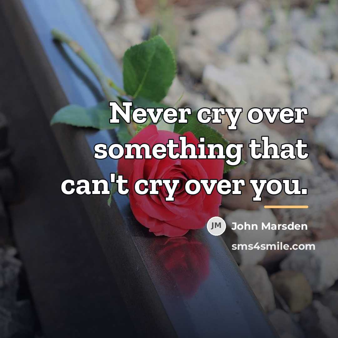 “Never cry over something that can't cry over you.…” quote by John Marsden