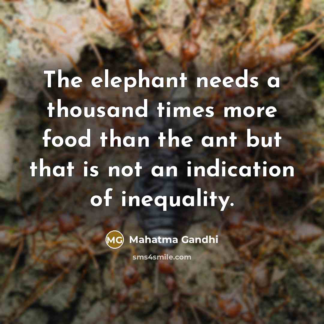 “The elephant needs a thousand times more food than the…” quote by Mahatma Gandhi