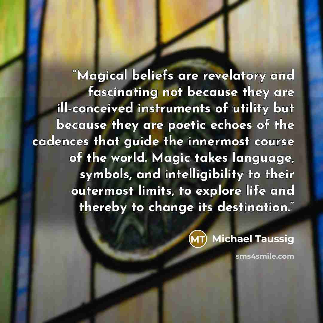 “Magical beliefs are revelatory and fascinating not because they are ill-conceived instruments of utility but because they are poetic echoes of the cadences that guide the innermost course of the world. Magic takes language, symbols, and intelligibility to their outermost limits, to explore life…” quote by Michael Taussig