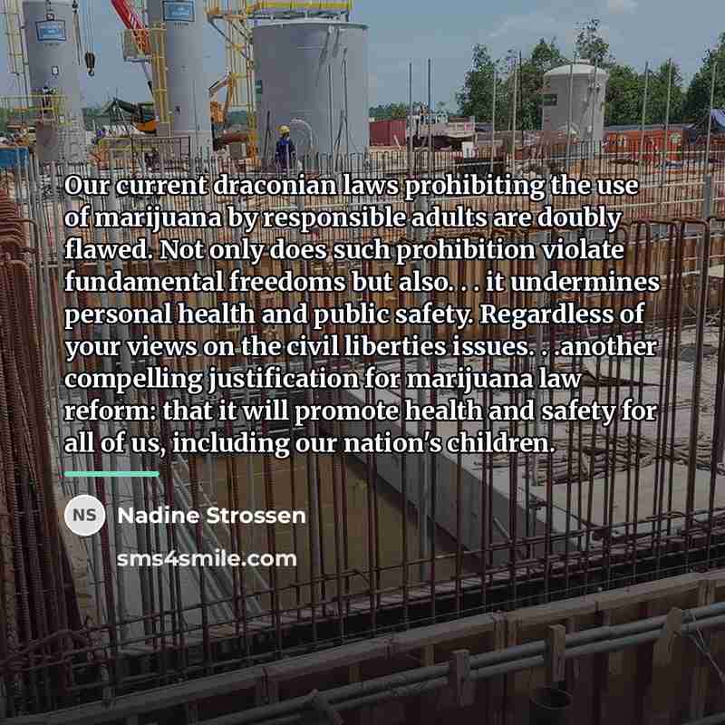 “Our current draconian laws prohibiting the use of marijuana by…” quote by Nadine Strossen