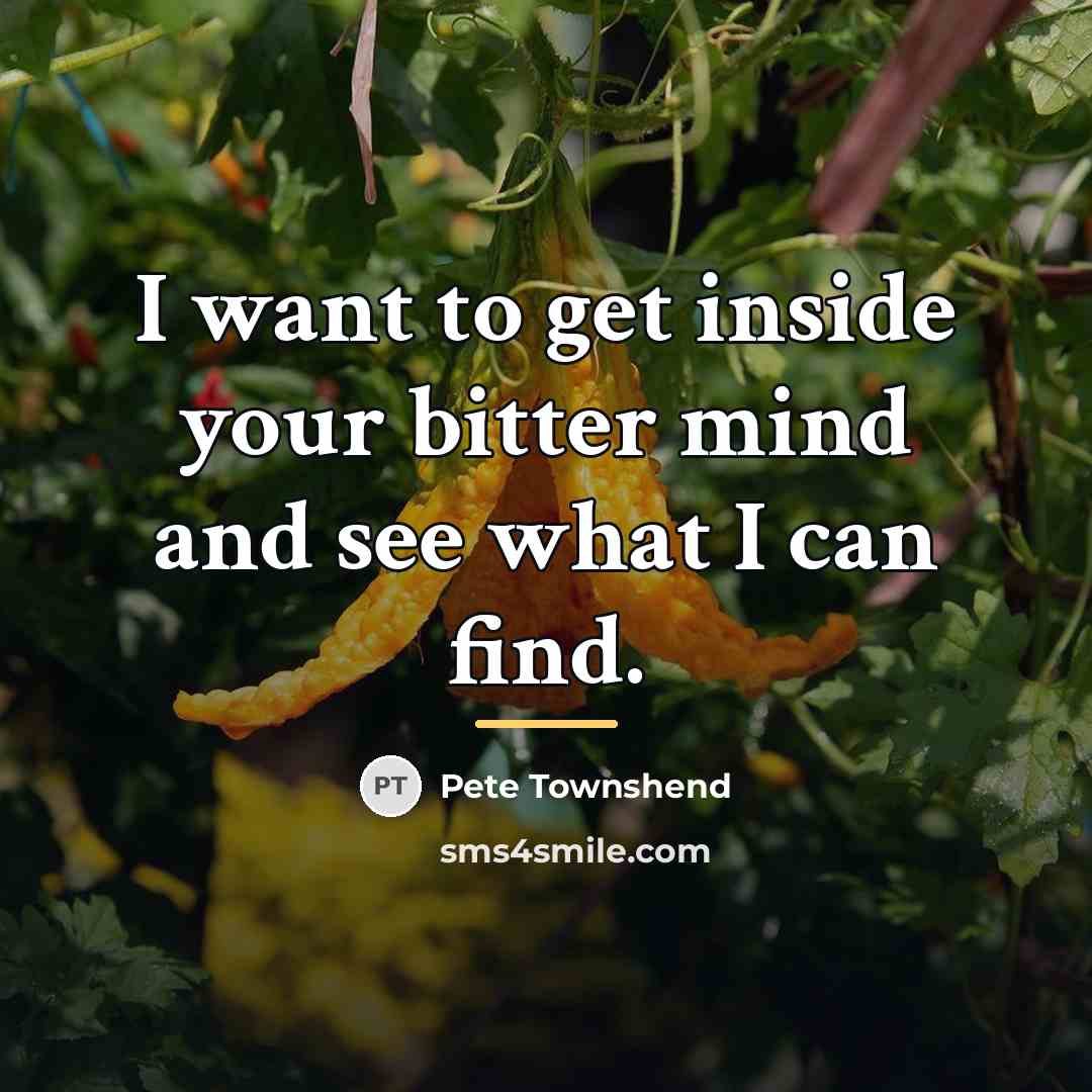 “I want to get inside your bitter mind and see…” quote by Pete Townshend