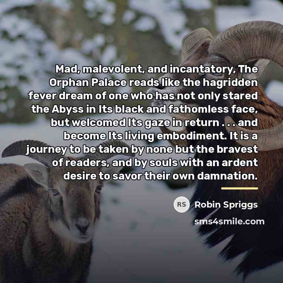 “Mad, malevolent, and incantatory, The Orphan Palace reads like the…” quote by Robin Spriggs