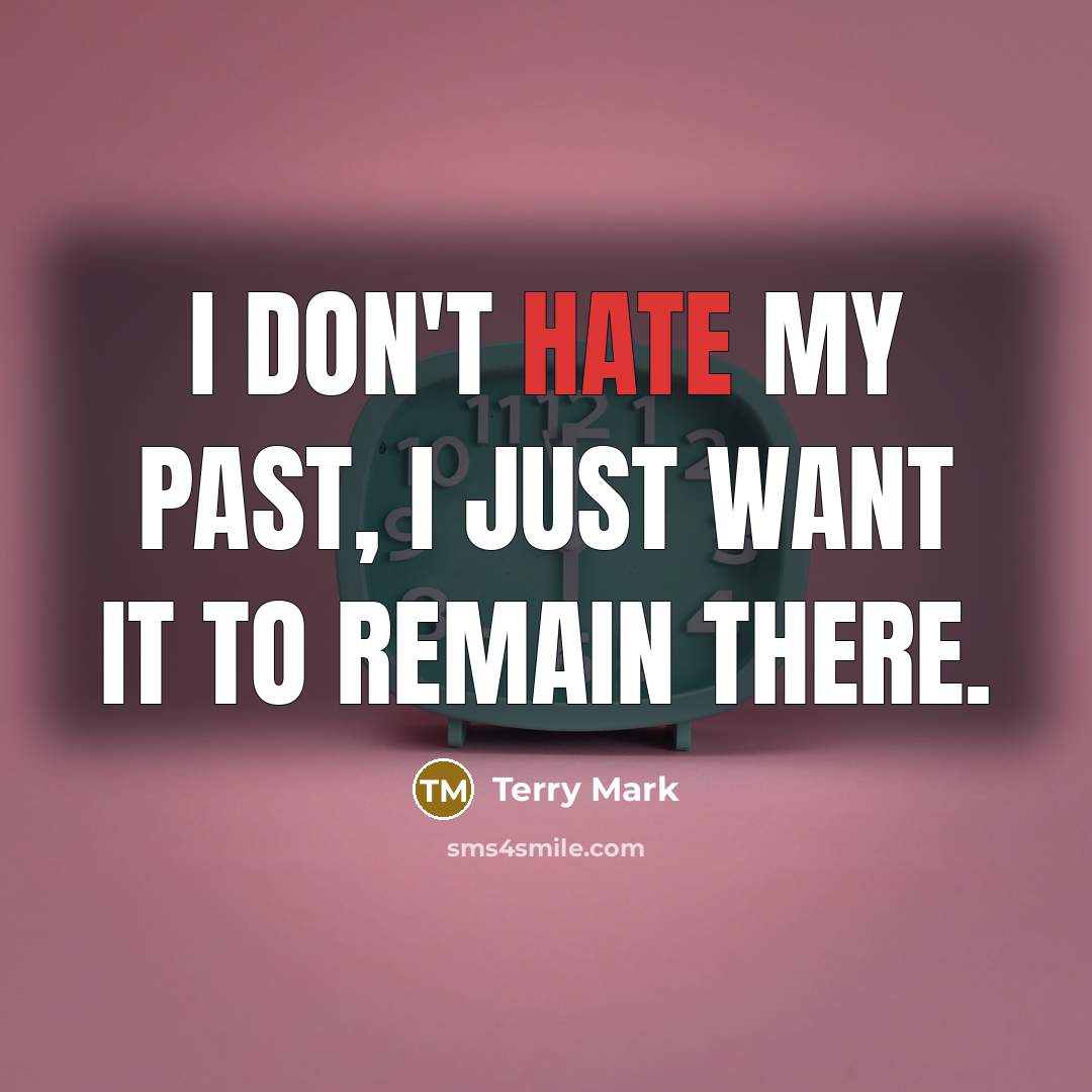 “I don't hate my past, I just want it to…” quote by Terry Mark