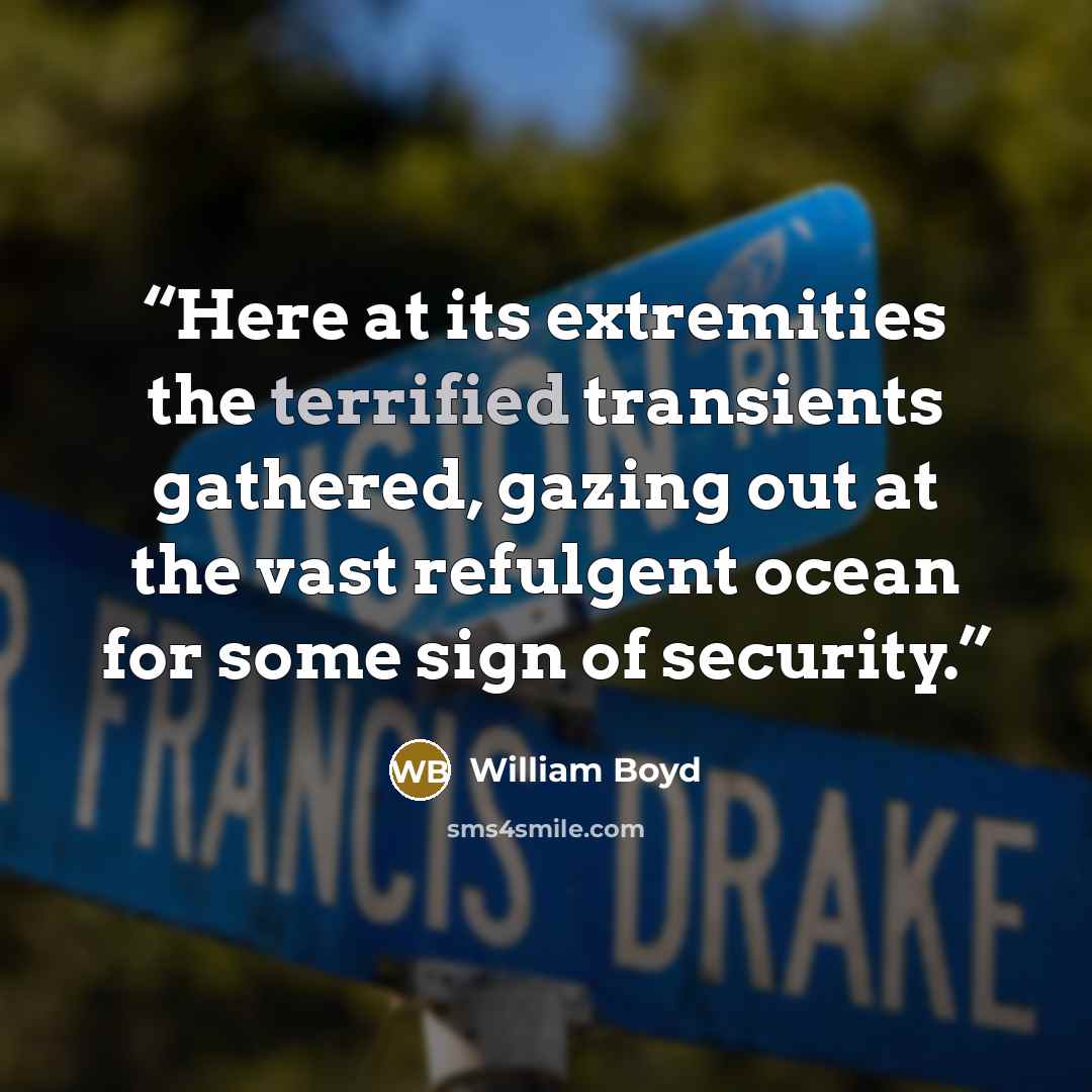 “Here at its extremities the terrified transients gathered, gazing out at the vast refulgent ocean for some sign of security.” quote by William Boyd