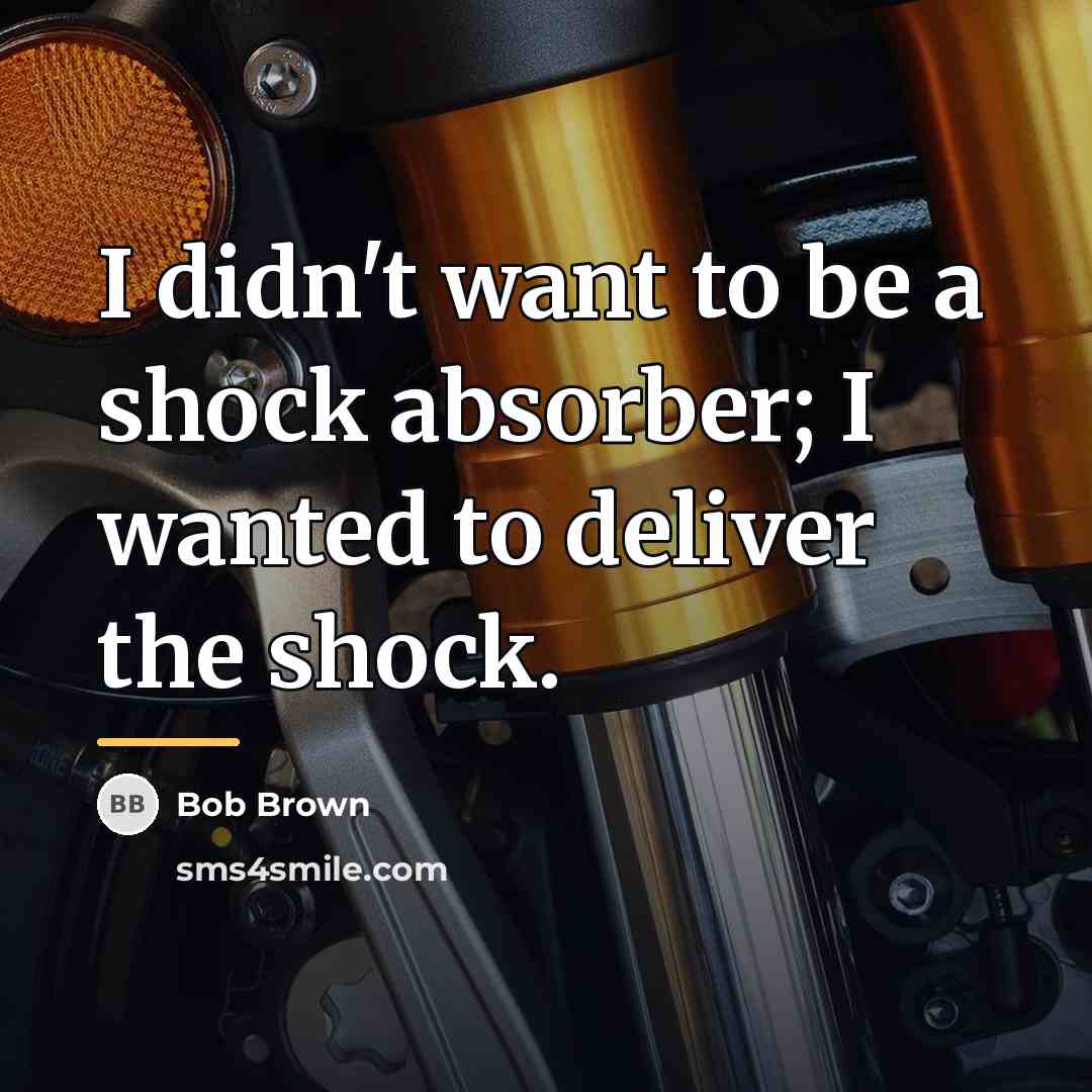 “I didn't want to be a shock absorber; I wanted…” quote by Bob Brown