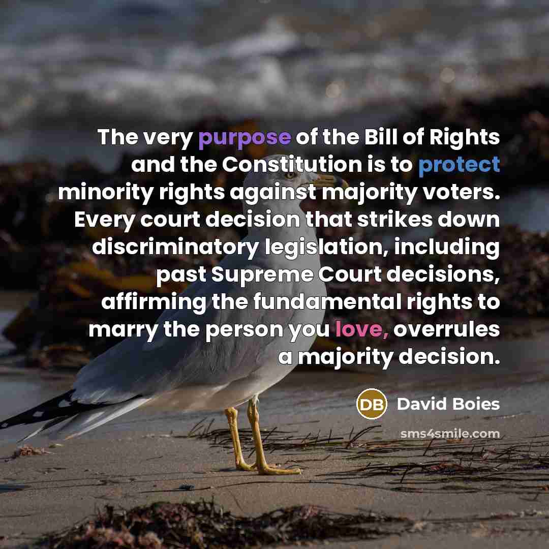 “The very purpose of the Bill of Rights and the…” quote by David Boies