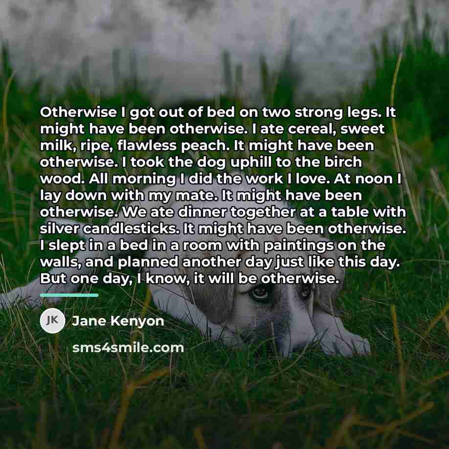 “Otherwise I got out of bed on two strong legs.…” quote by Jane Kenyon