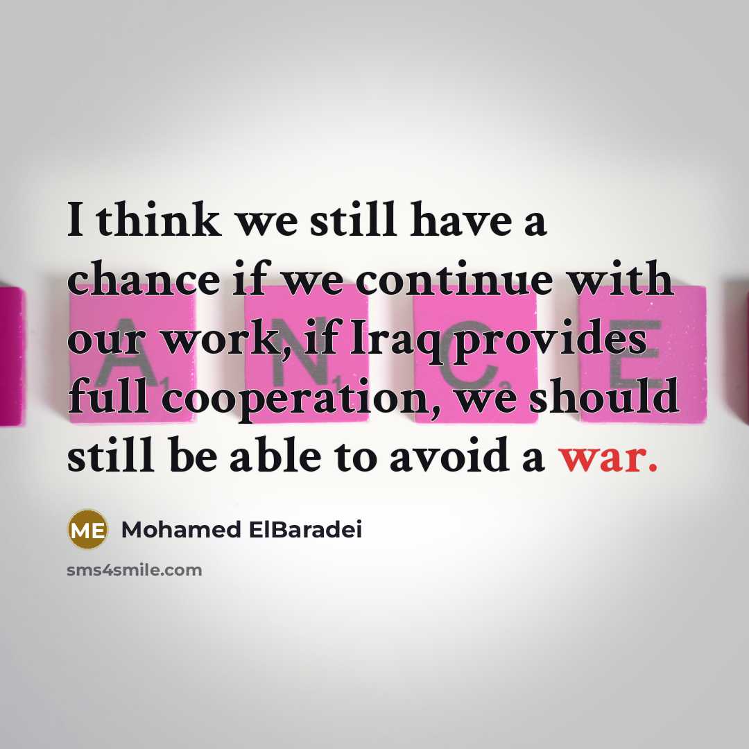 “I think we still have a chance if we continue…” quote by Mohamed ElBaradei