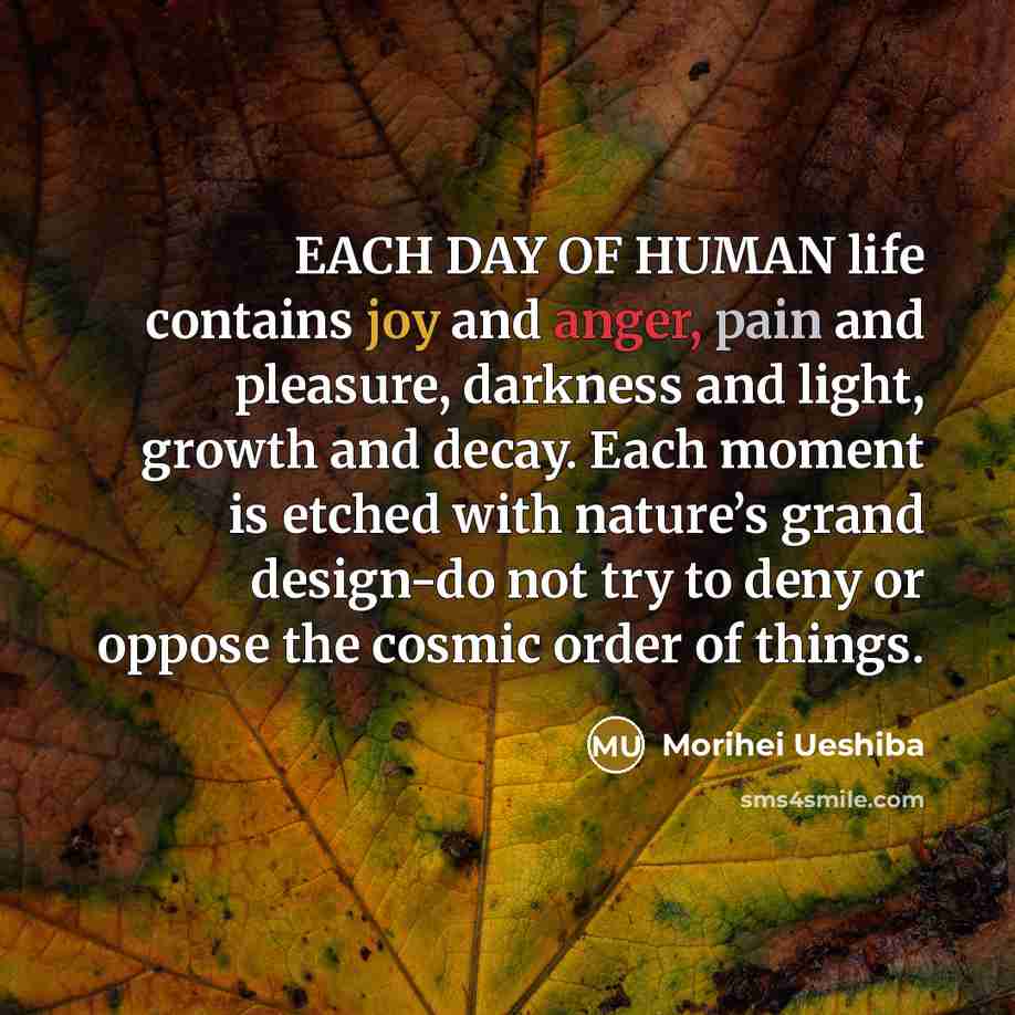 “EACH DAY OF HUMAN life contains joy and anger, pain…” quote by Morihei Ueshiba
