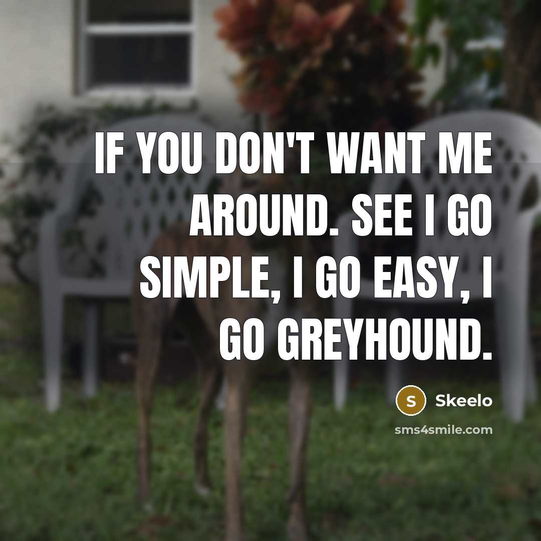 “If you don't want me around. See I go simple, I go easy, I go greyhound.” quote by Skeelo