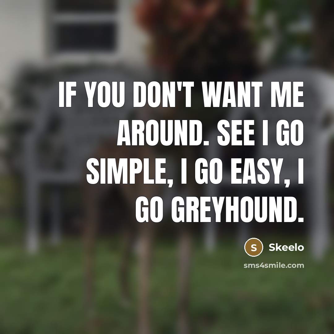 “If you don't want me around. See I go simple,…” quote by Skeelo