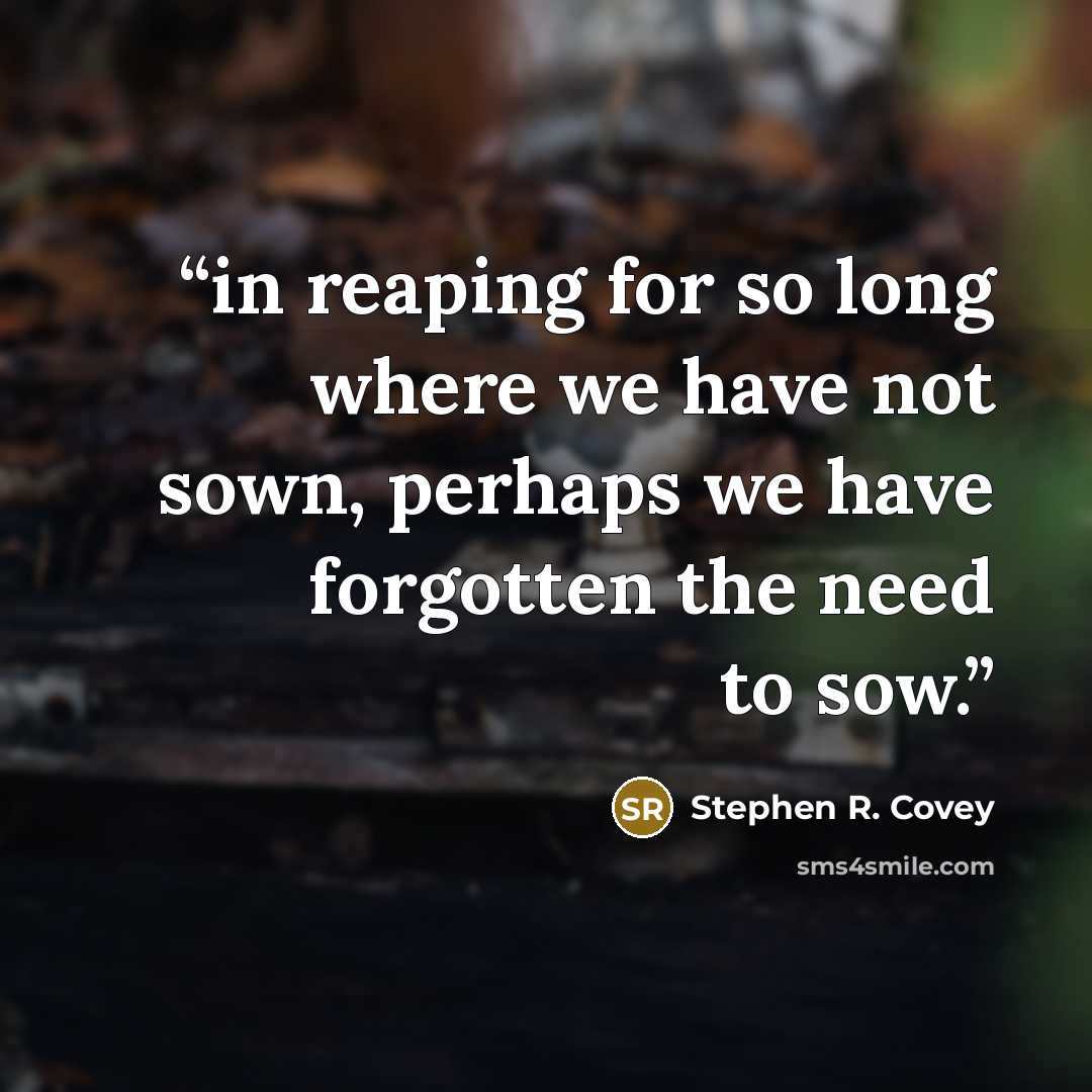 “in reaping for so long where we have not sown, perhaps we have forgotten the need to sow.” quote by Stephen R. Covey
