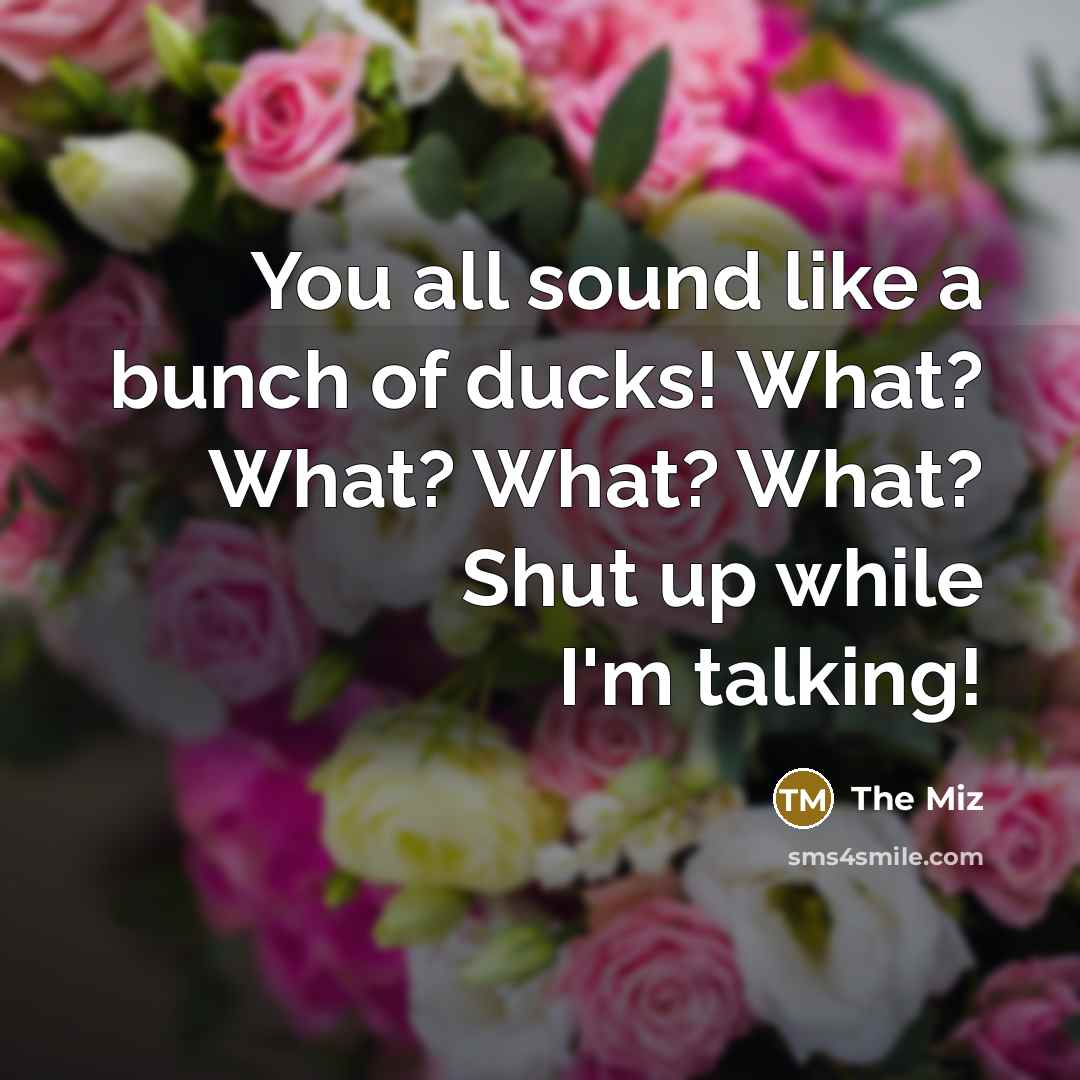 “You all sound like a bunch of ducks! What? What?…” quote by The Miz