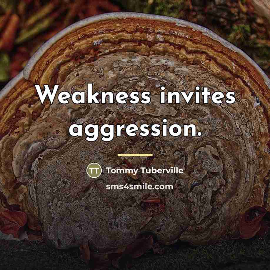 “Weakness invites aggression.…” quote by Tommy Tuberville