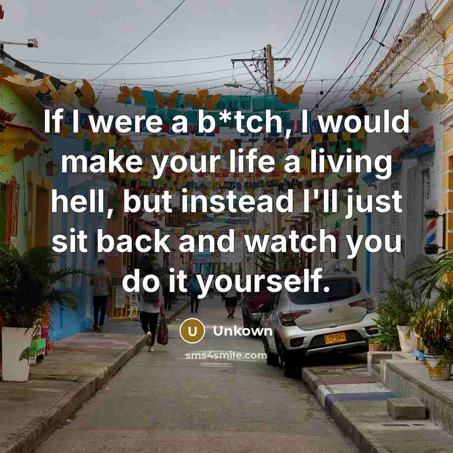 “If I were a b*tch, I would make your life a living hell, but instead I'll just sit back and watch you do it yourself.” quote by Unkown