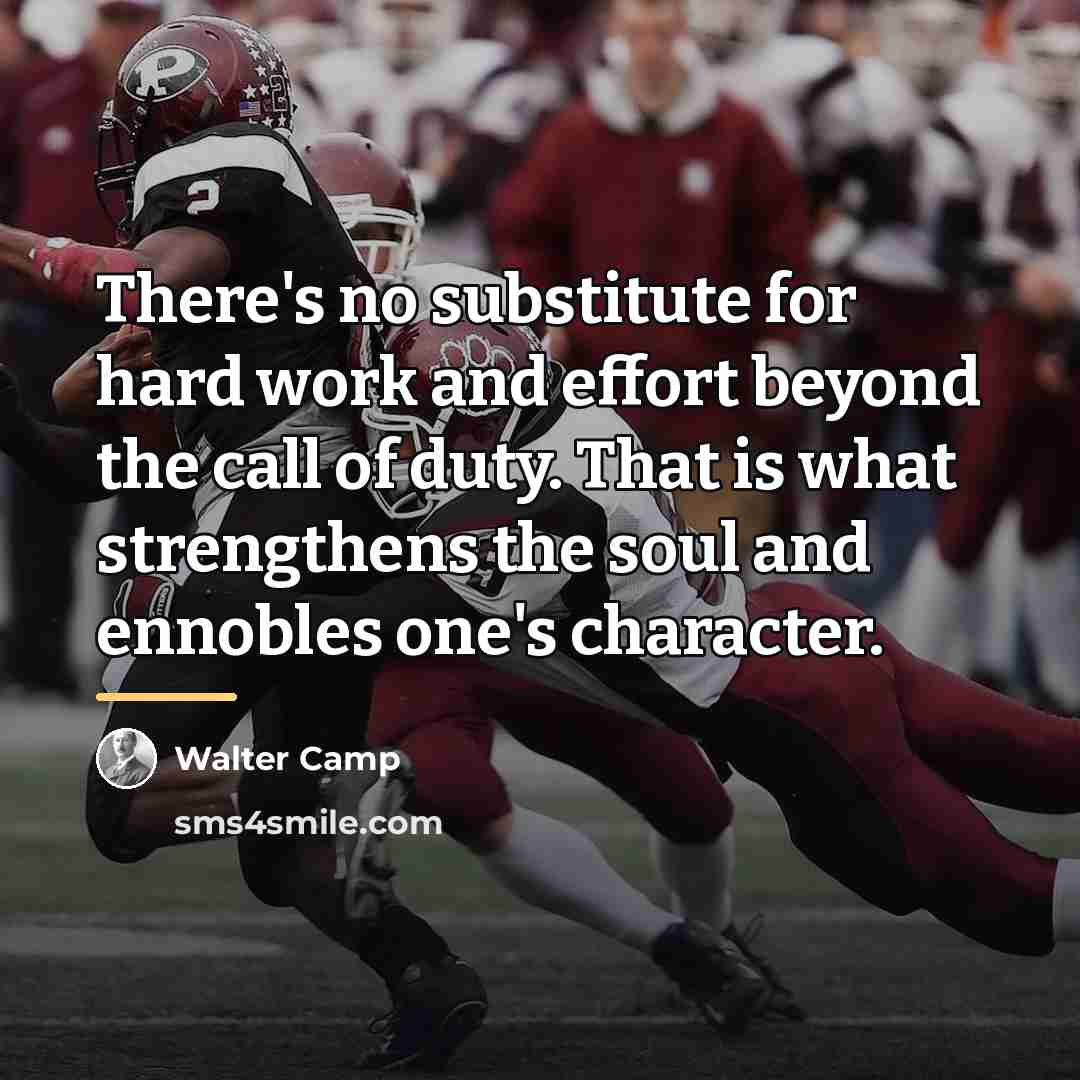 “There's no substitute for hard work and effort beyond the…” quote by Anonymous