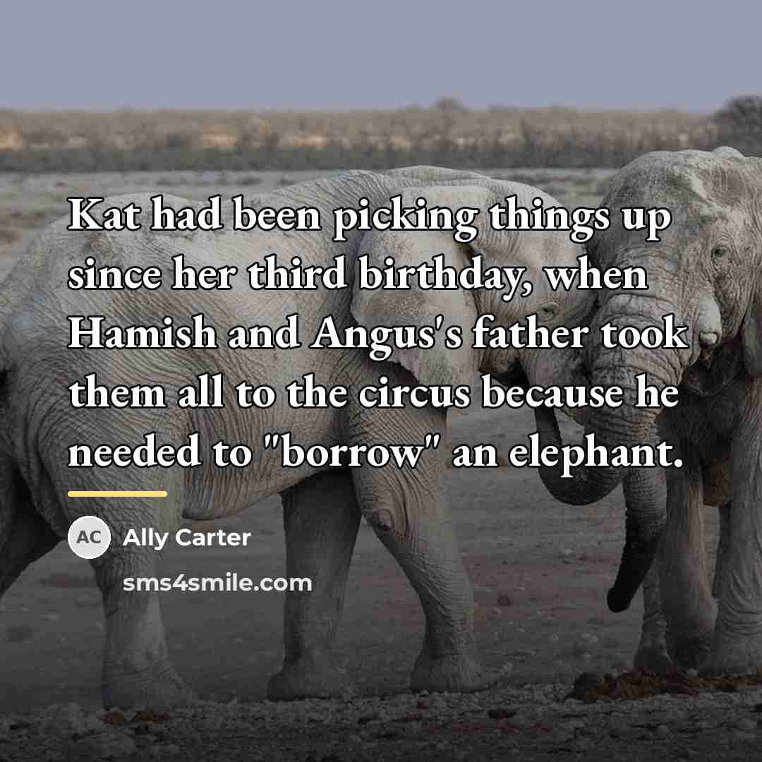 “Kat had been picking things up since her third birthday,…” quote by Ally Carter