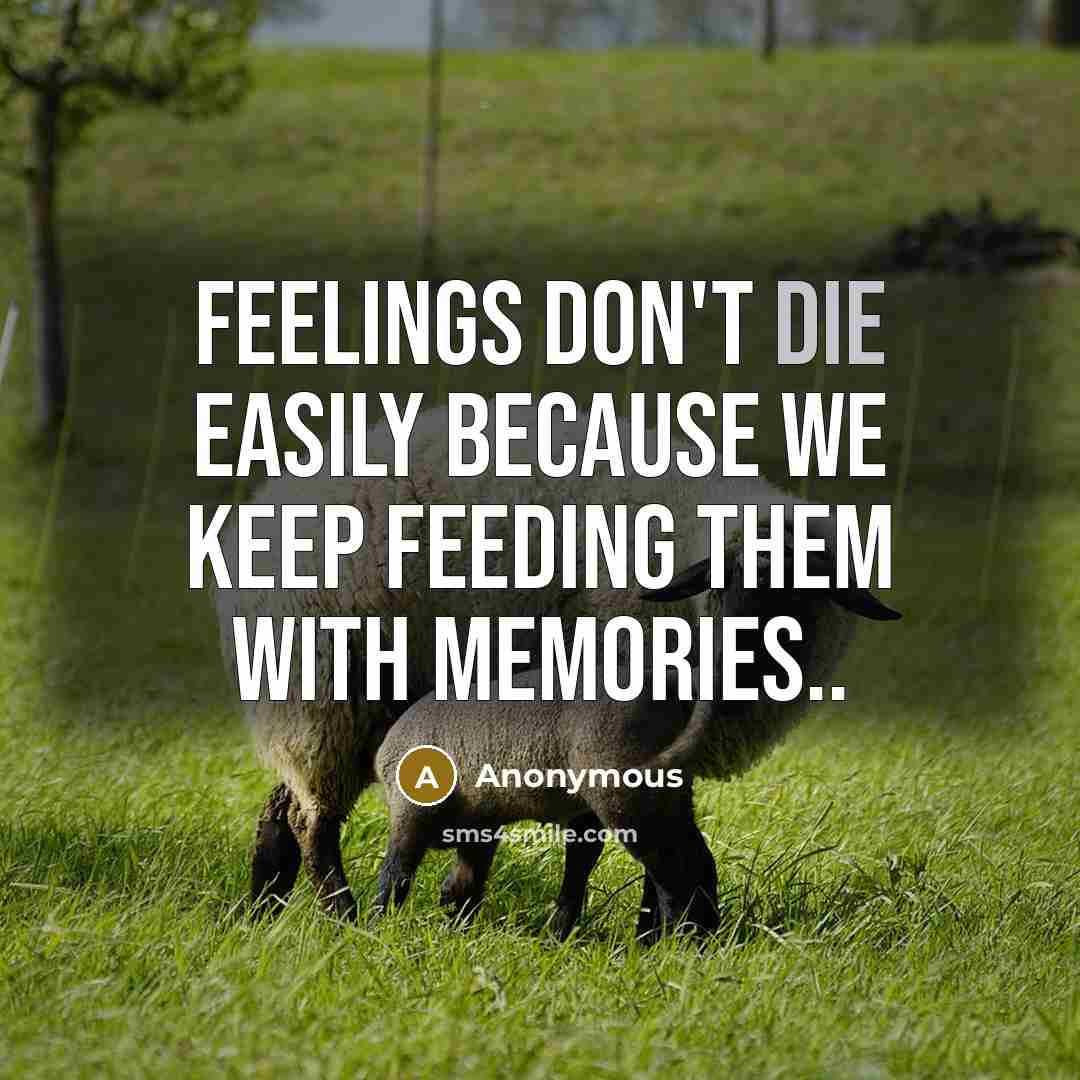 “Feelings don't die easily because we keep feeding them with…” quote by Anonymous