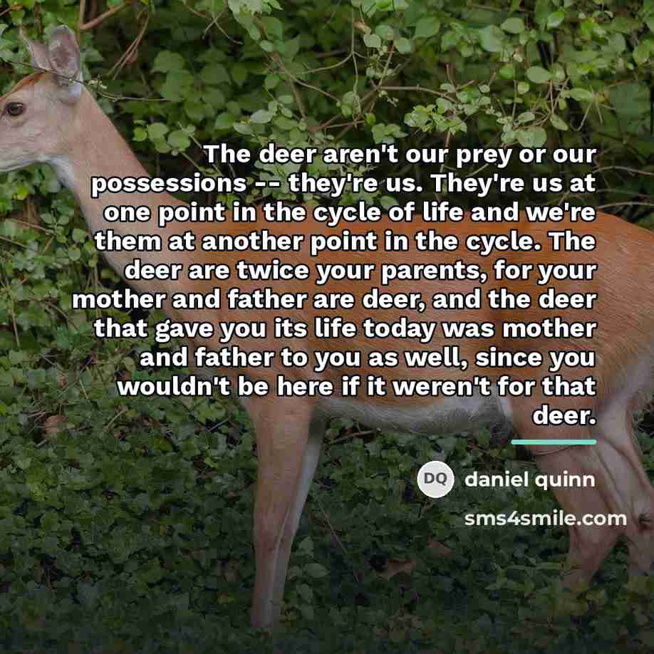 “The deer aren't our prey or our possessions -- they're…” quote by Daniel Quinn