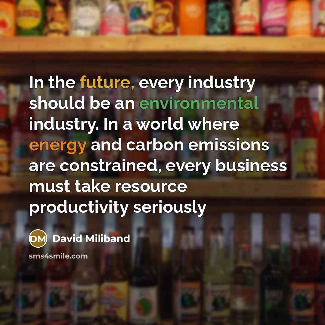 “In the future, every industry should be an environmental industry.…” quote by David Miliband
