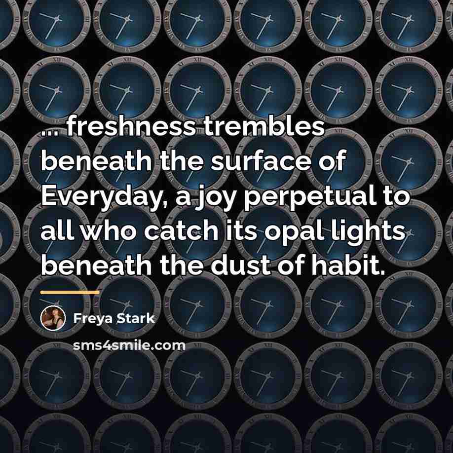 “... freshness trembles beneath the surface of Everyday, a joy…” quote by Freya Stark