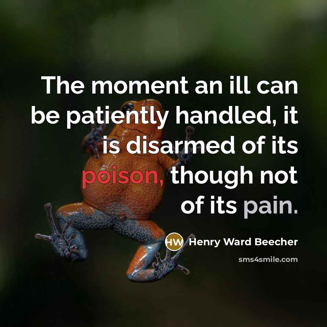 “The moment an ill can be patiently handled, it is…” quote by Henry Ward Beecher