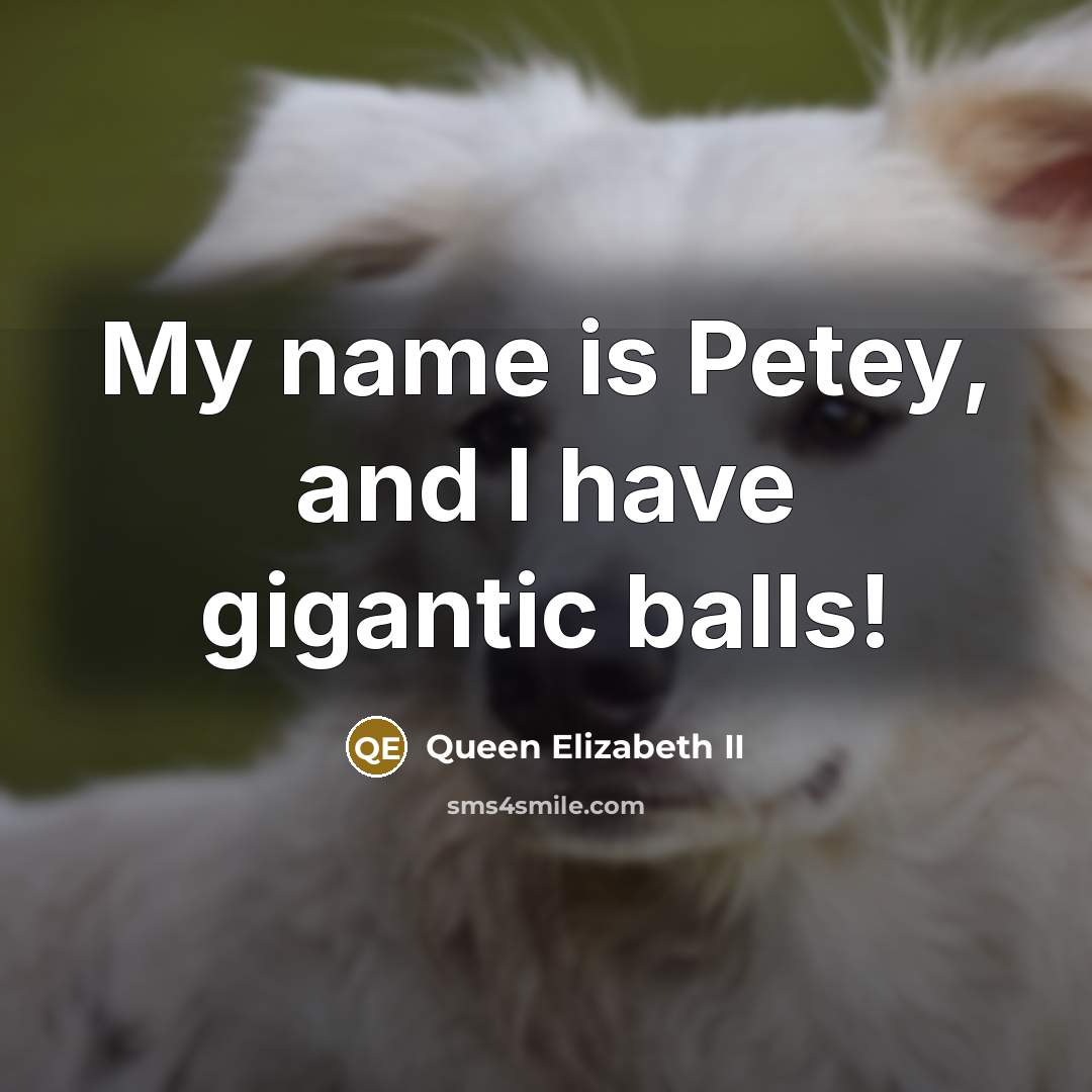 “My name is Petey, and I have gigantic balls!…” quote by Queen Elizabeth II
