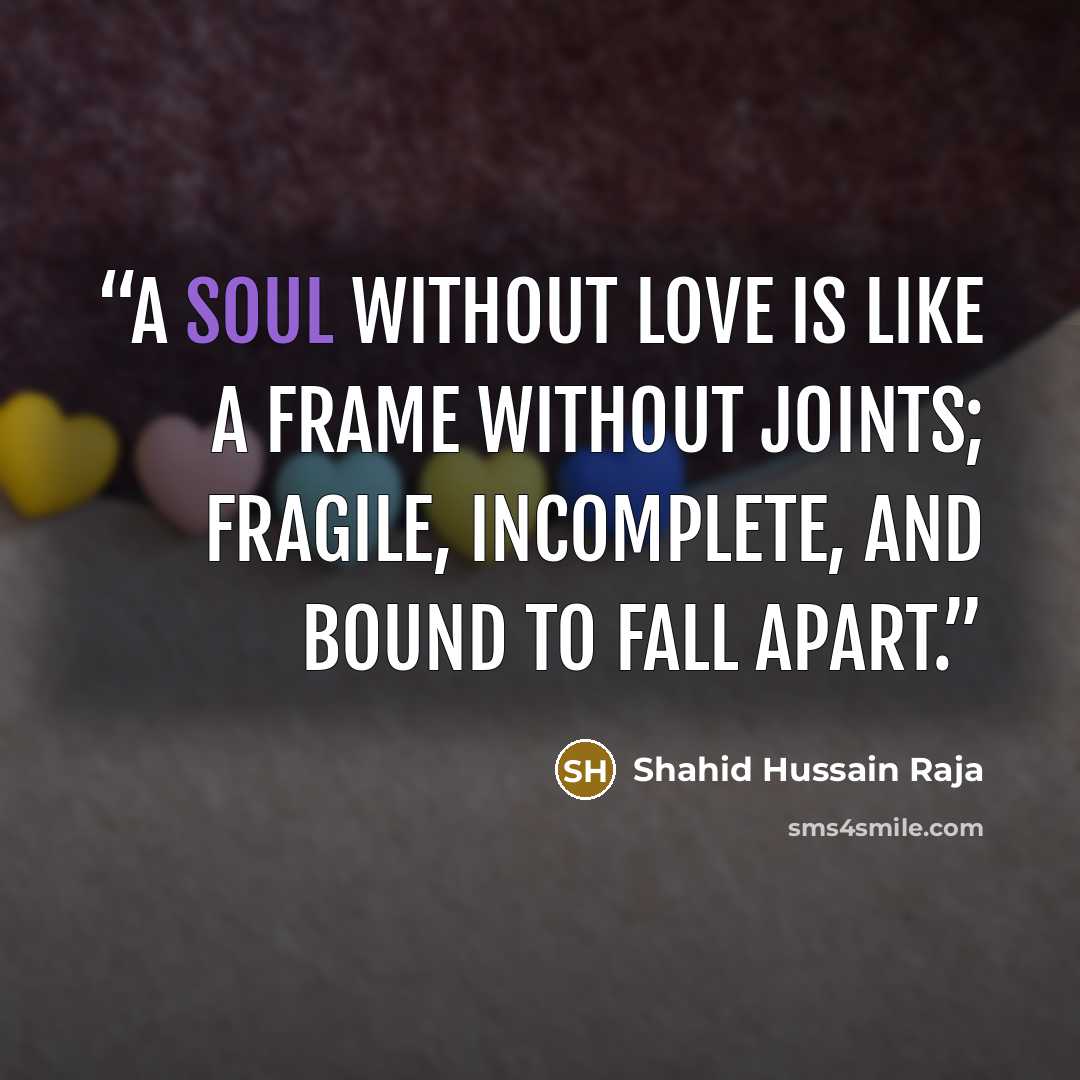 “A soul without love is like a frame without joints; fragile, incomplete, and bound to fall apart.” quote by Shahid Hussain Raja