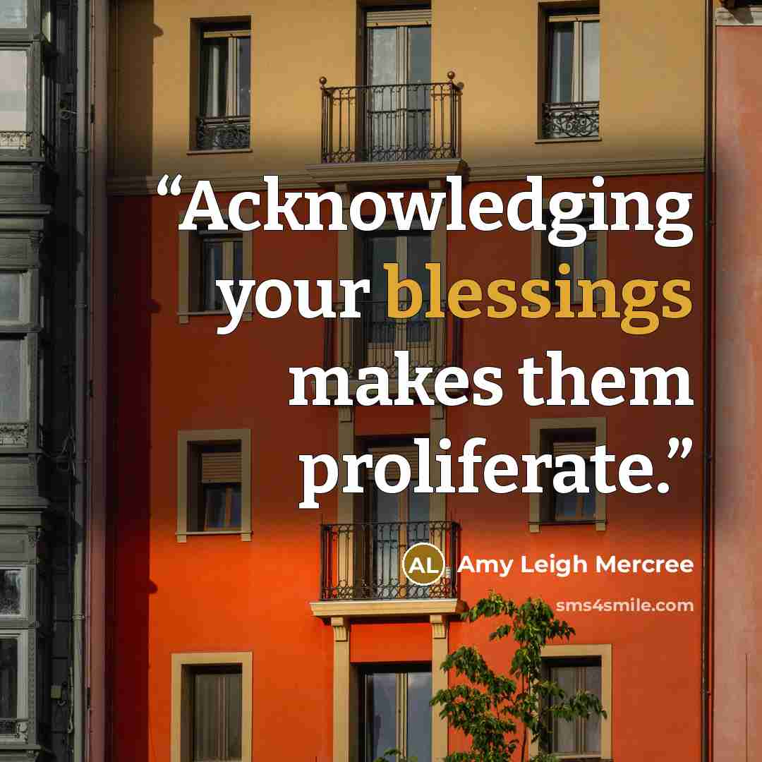 “Acknowledging your blessings makes them proliferate.” quote by Amy Leigh Mercree