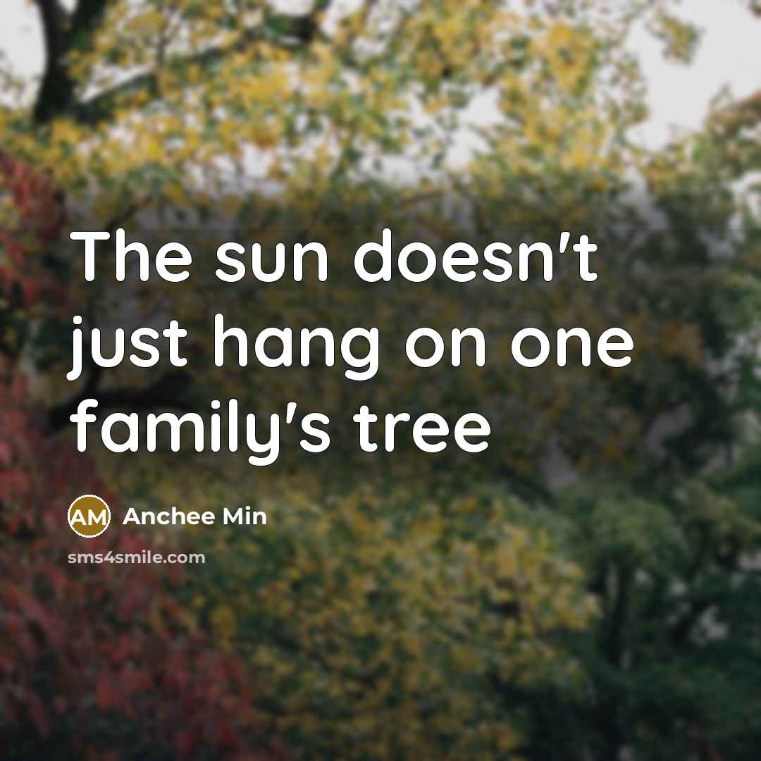 “The sun doesn't just hang on one family's tree…” quote by Anchee Min