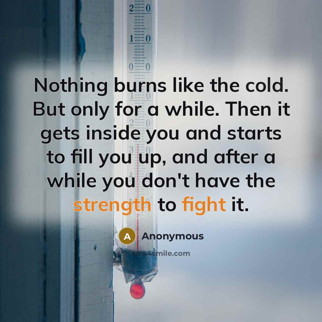 “Nothing burns like the cold. But only for a while. Then it gets inside you and starts to fill you up, and after a while you don't have the strength to fight it.” quote by Anonymous
