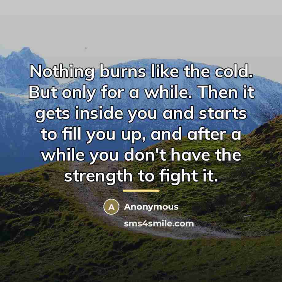 “Nothing burns like the cold. But only for a while.…” quote by Anonymous