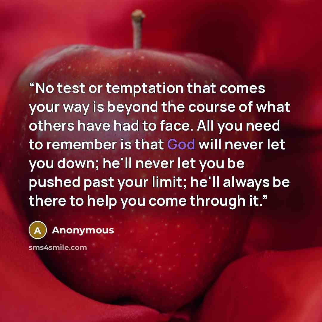 “No test or temptation that comes your way is beyond the course of what others have had to face. All you need to remember is that God will never let you down; he'll never let you be pushed past your limit; he'll always be there to help you come through it.” quote by Anonymous